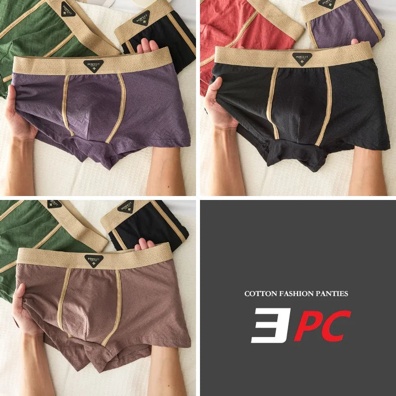 Men's 100% cotton boxer shorts in a 3-pack from Showlu Fashion, featuring antibacterial fabric for comfortable everyday wear.