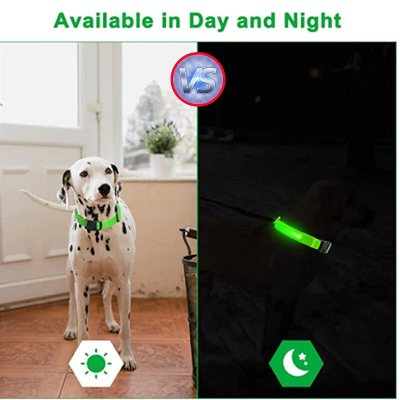 Showlu Fashion's COOYOMOO USB Rechargeable LED glowing dog collar with adjustable nylon harness, visible in vibrant glow and secure fit.
