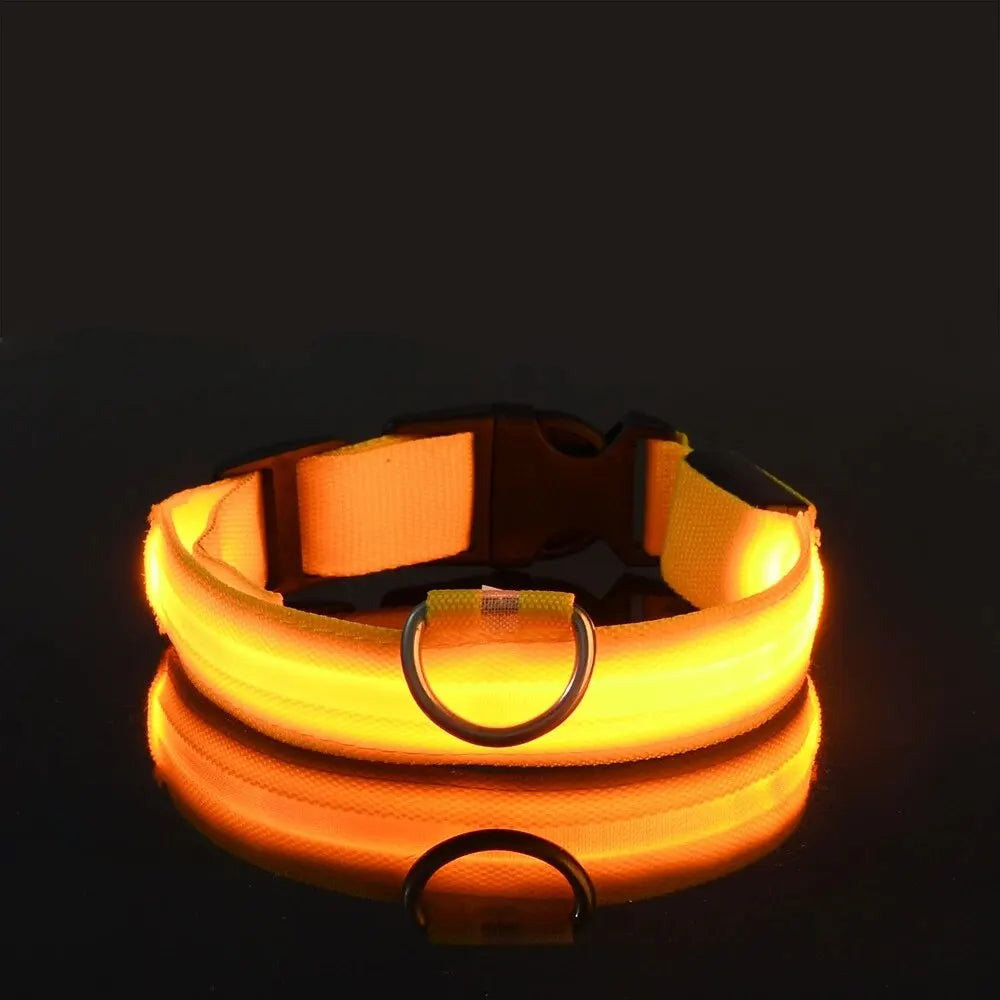 Showlu Smart General LED glow dog collar with safety night leash, featuring bright illumination and adjustable fit for nighttime visibility.
