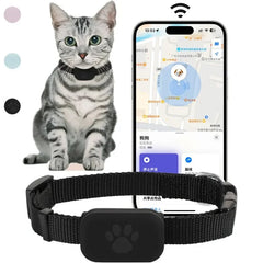 A black pet collar with a paw-print GPS tracker shown next to a smartphone displaying a map.