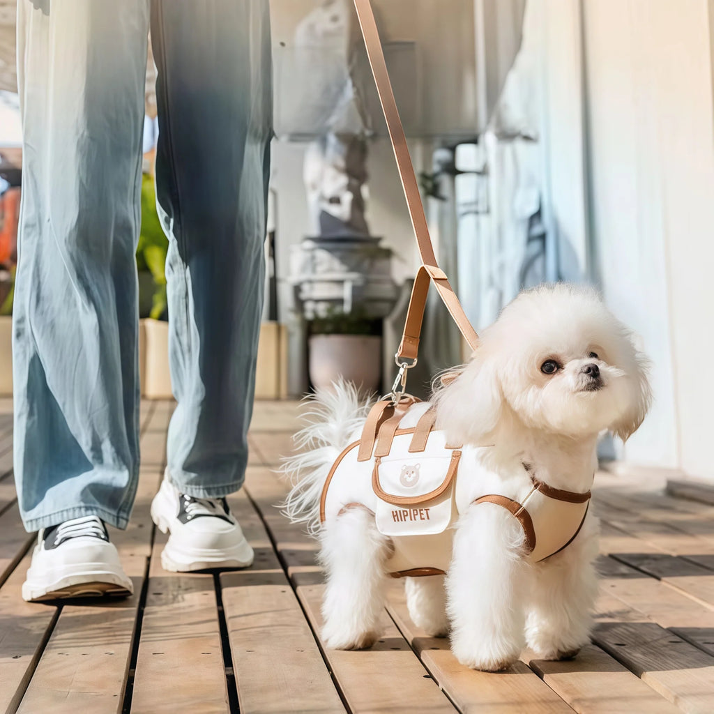 Dog lift harness backpack for small dogs, sling carrier with handle, leash, and outdoor walking supplies, suitable for cats too.