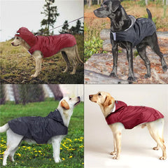 A waterproof dog raincoat with a hood and reflective stripe shown on various dogs.