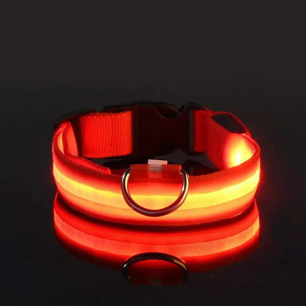 LED Glow Dog Collar and Safety Night Leash by Showlu Smart General, featuring bright illumination for nighttime visibility