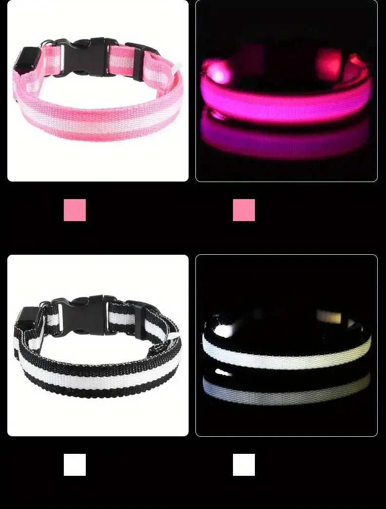 Showlu Smart General LED glow dog collar and safety night leash with bright illumination for nighttime visibility.