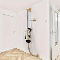 A black and white cat climbs a wall-mounted sisal rope next to a small wooden platform.