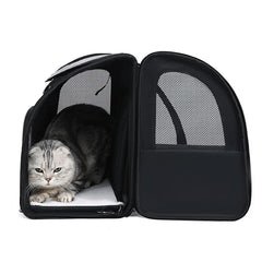 A grey tabby cat sits inside an open, black expandable pet carrier backpack with mesh windows.