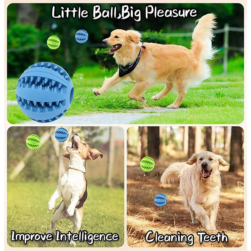 Showlu Smart General interactive rubber dog chew ball with treat dispenser, designed for teeth cleaning and puppy training.