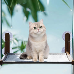 A light-colored cat sits on a wooden window-mounted hammock attached with suction cups.