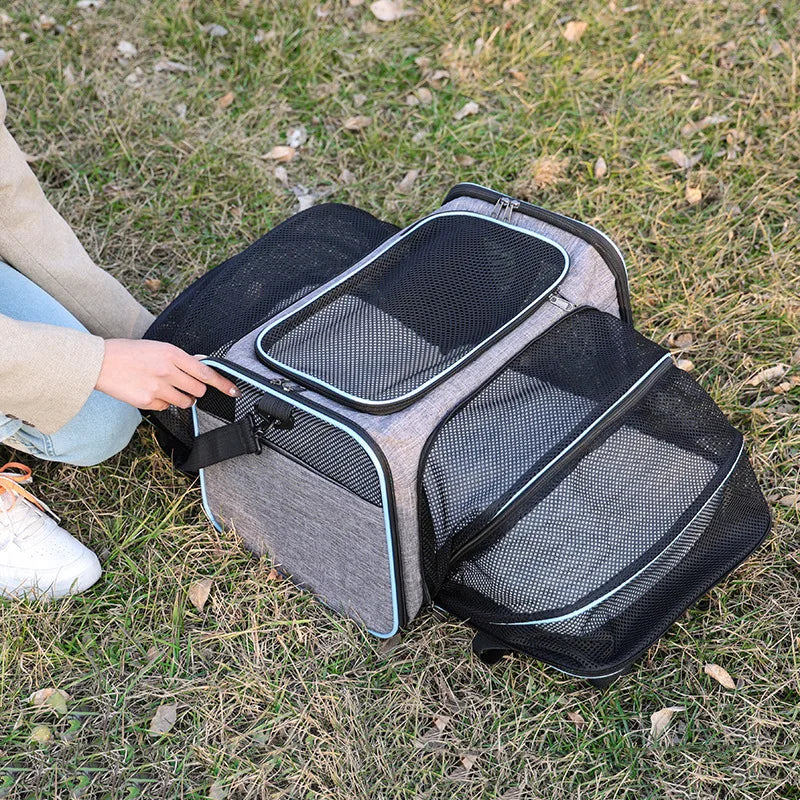 Foldable Showlu Fashion pet carrier bag for cats, portable travel bag with mesh sides and handle for easy carrying.