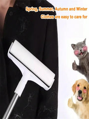 Mini Carpet Cleaner Brush