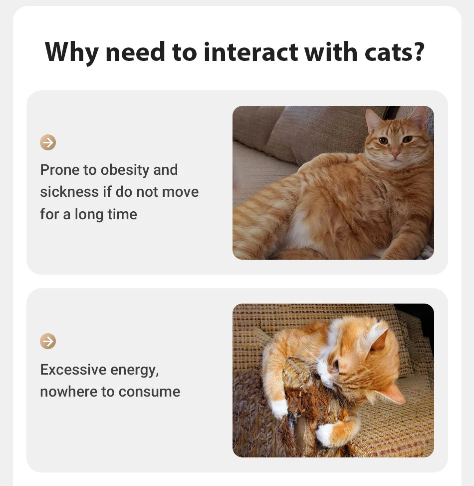 Showlu Smart General automatic pet laser toy with colorful laser beam for interactive play with cats and dogs.