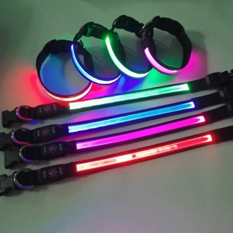 LED luminous dog collar from Showlu Smart General with USB rechargeability, safety night visibility, and adjustable fit.