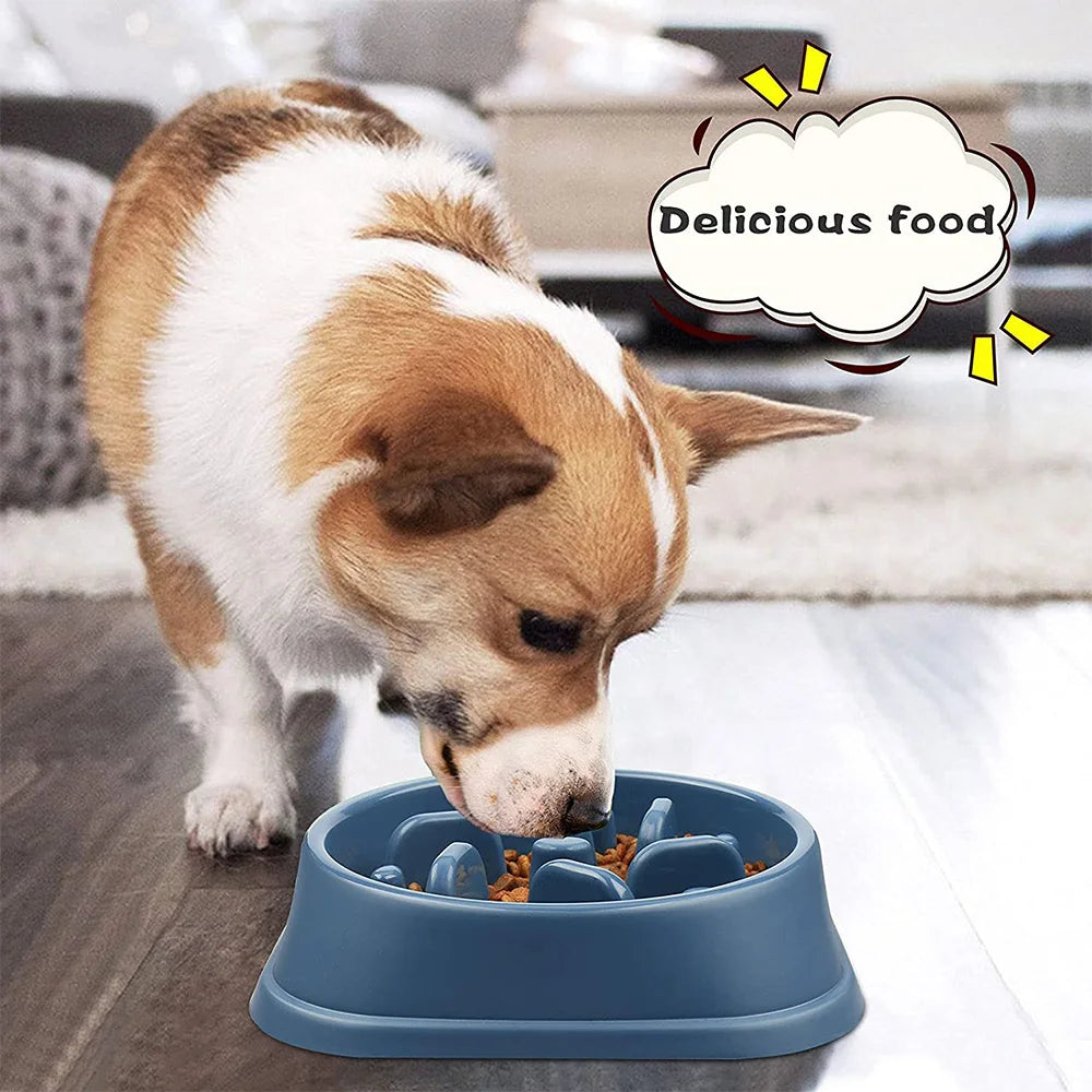 Showlu Fashion pet dog slow feeder bowl with non-slip base, puzzle design, and anti-gulping features for medium and small dogs.