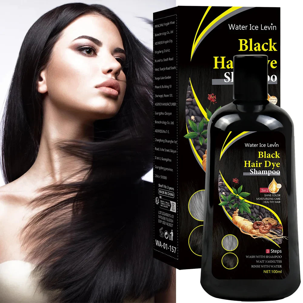 Water Ice Levin 3-in-1 Black Hair Dye Shampoo with organic ginger essence in a 100ml bottle, featuring a sleek black design.