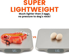 An orange double dog leash on a digital scale next to two eggs on another scale.