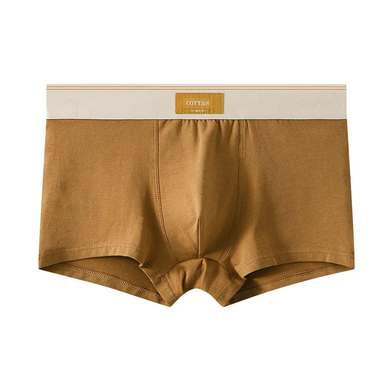 Men's breathable 100% cotton boxer briefs in teen and plus sizes, featuring a comfortable fit and stylish design.