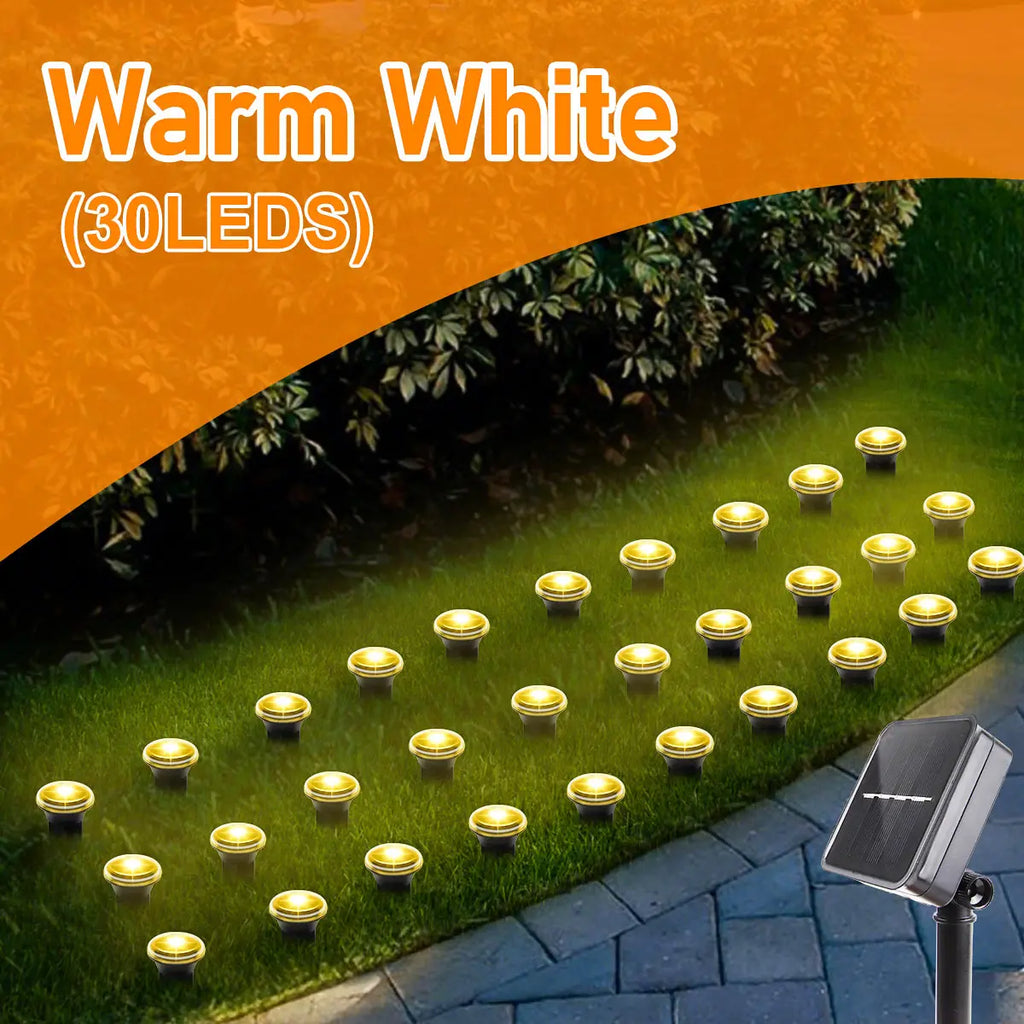 Solar LED garden pathway lights with 8 lighting modes, outdoor decorative lighting for garden pathways and walkways.