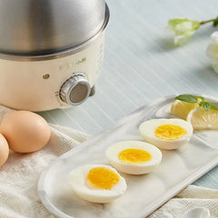 Electric Egg Boiler 360W Stainless Steel 4-6 Eggs Timer Cooker
