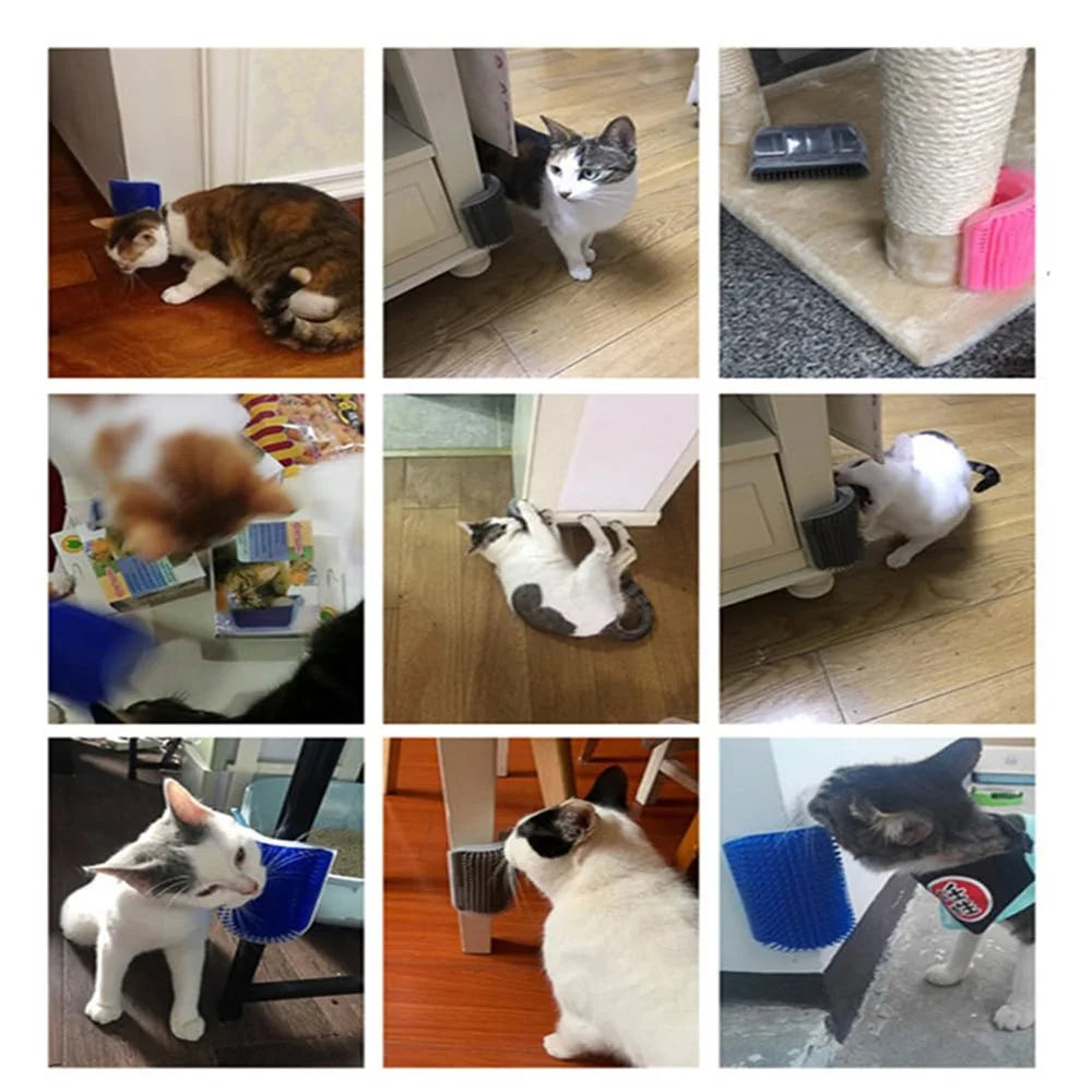 Cat self-groomer with catnip, wall-mounted corner massage comb and soft brush for pet grooming, ideal for cats' face and body.