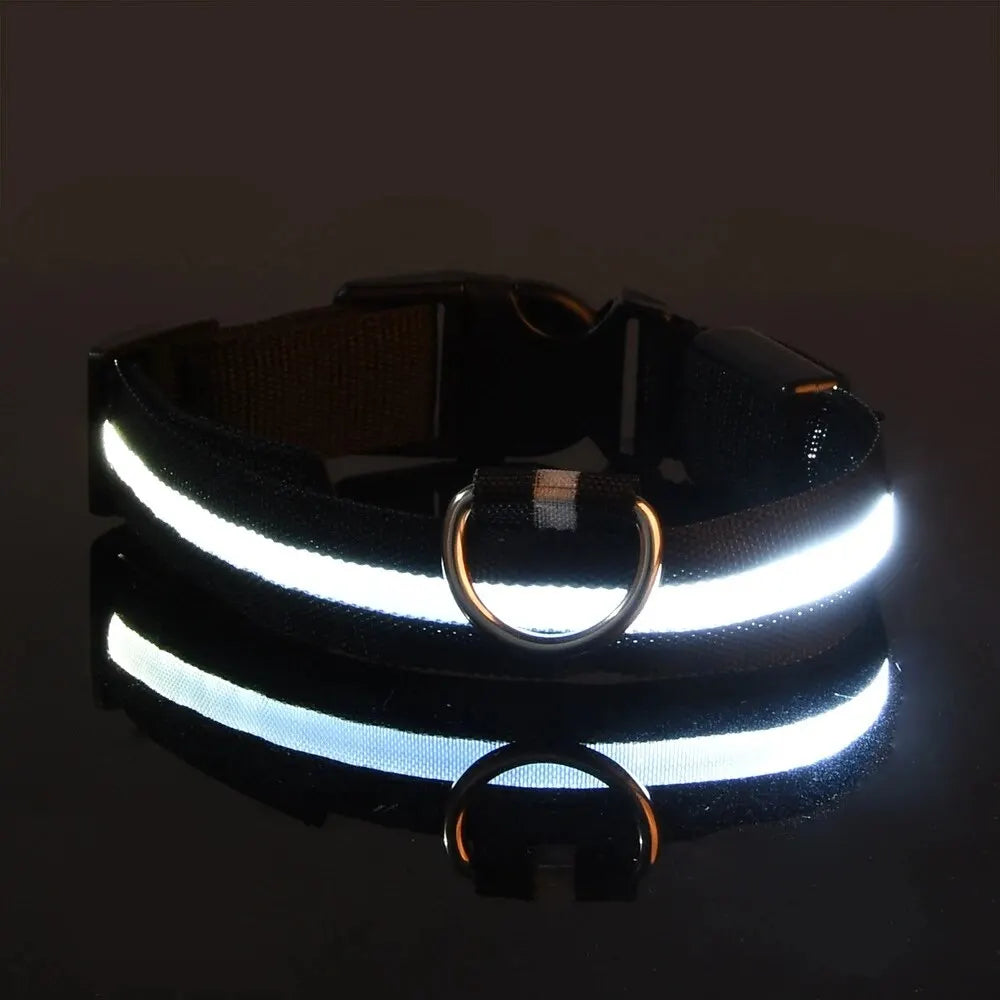 Showlu Smart General LED glow dog collar with safety night leash, featuring bright illumination and adjustable fit for pets.