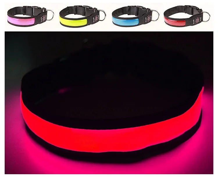 Showlu Smart General LED luminous dog collar with USB rechargeable safety night visibility, featuring adjustable strap and bright illumination.