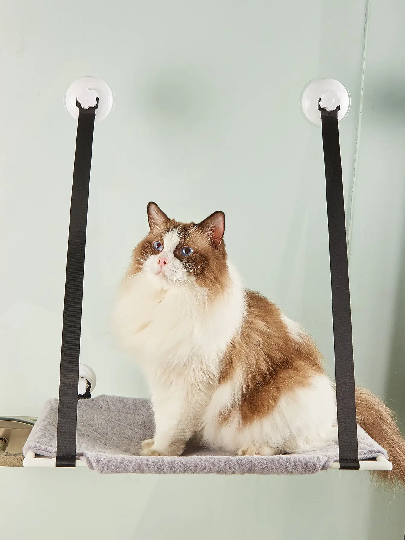 Double layer window suction cat bed with hanging hammock toy by Showlu Fashion Store, featuring cozy fabric and suction cups for window mounting.