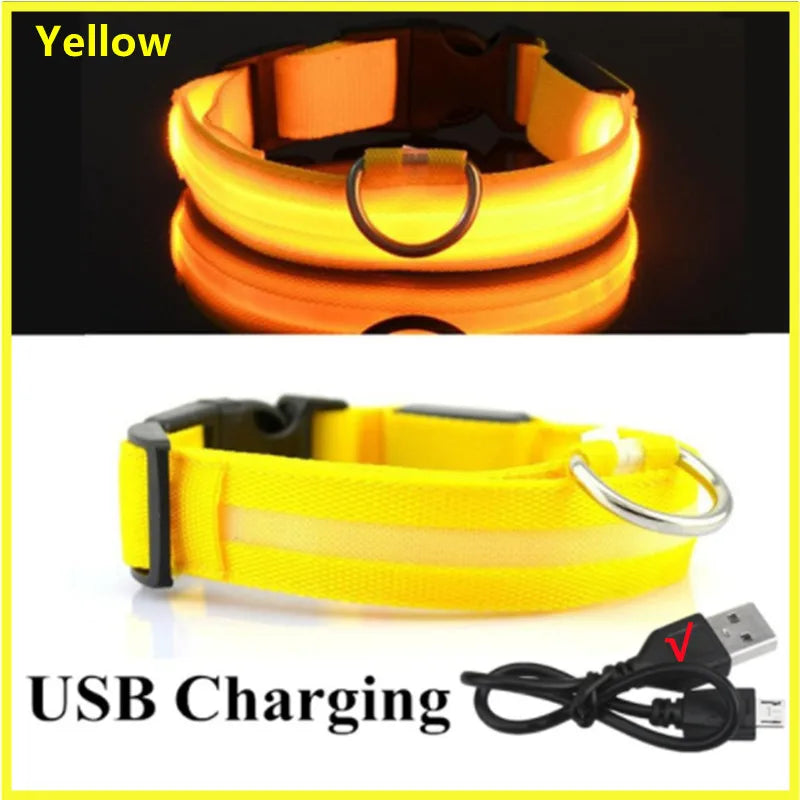 Showlu Fashion Showlu USB rechargeable LED glowing dog collar with adjustable nylon harness, bright and visible for nighttime walks.