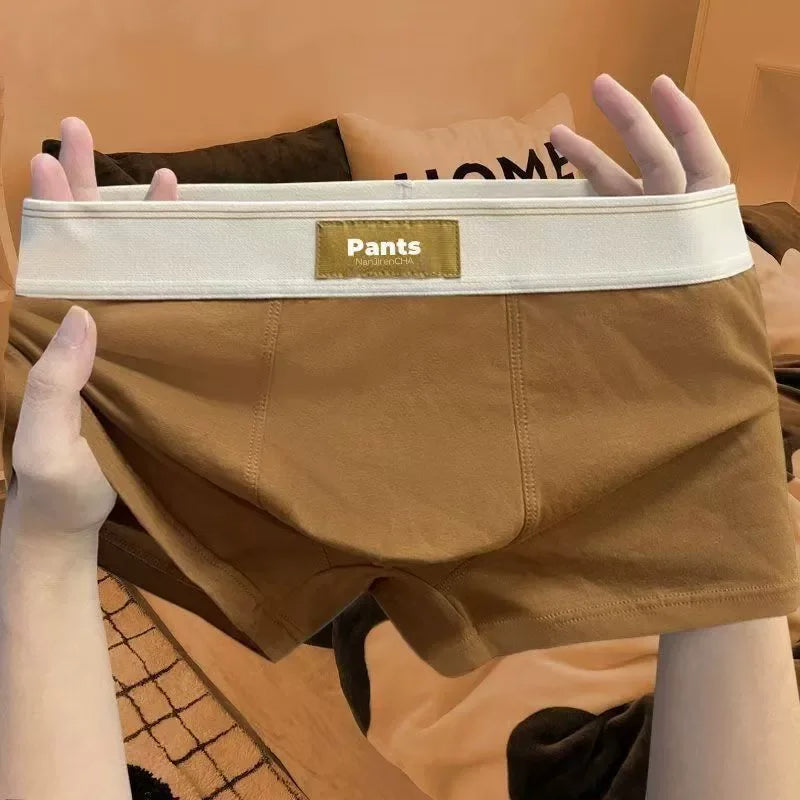 Four pairs of men's cotton boxer shorts in various colors, breathable and comfortable sports underwear for large sizes, shown laid flat.