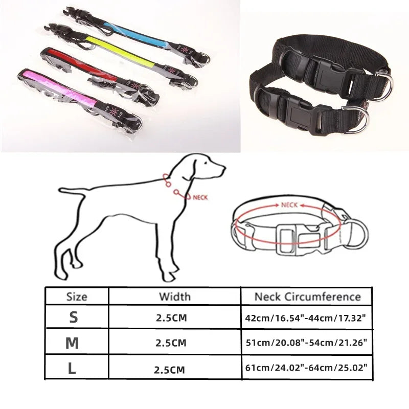 Showlu Smart General LED luminous dog collar with USB rechargeable safety light, visible in a nighttime outdoor setting