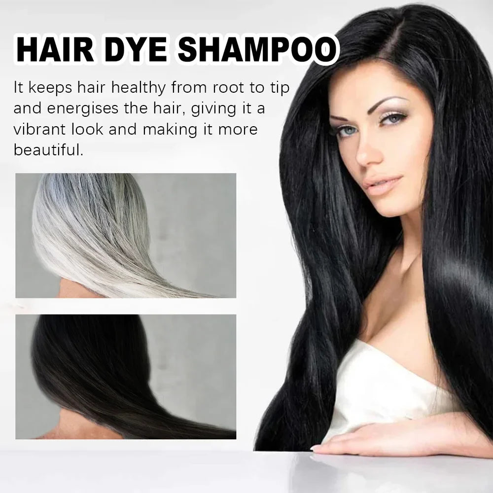 SHOWLU FASHION STORE Water Ice Levin 3-in-1 black hair dye shampoo with organic ginger essence, 100ml, showcasing the product bottle.