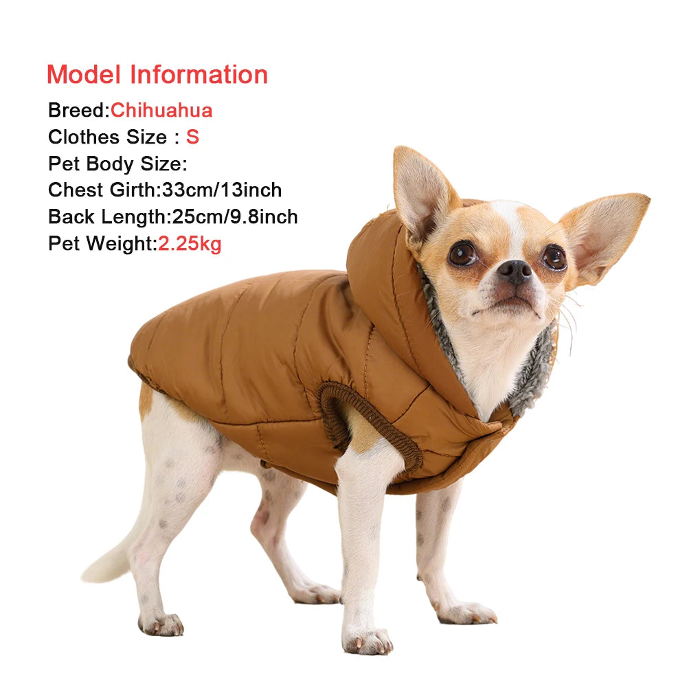 Small dog wearing Holapet warm fleece hoodie with D-ring, winter jacket by Showlu Fashion Store, cozy and stylish for cold weather.