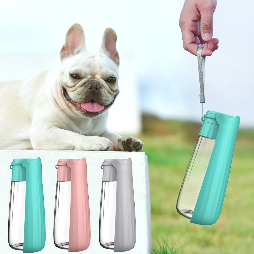 Holapet portable dog water bottle with foldable outdoor pet drinking bowl, compact and convenient for pet hydration on the go.