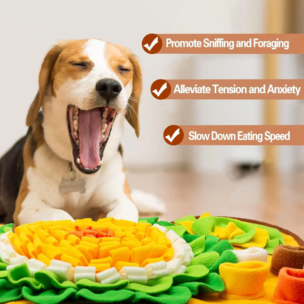 Showlu Fashion Pet Snuffle Mat for dogs and cats, interactive feeding game to encourage natural foraging skills and reduce boredom.