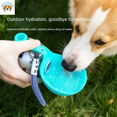 A dog drinks from a portable stainless steel water bottle with an attached foldable silicone bowl.