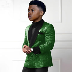 Sequin boys suit 2-piece set with double-breasted blazer and pants, stylish kids wedding tuxedo for ages 2-16, Showlu Fashion.