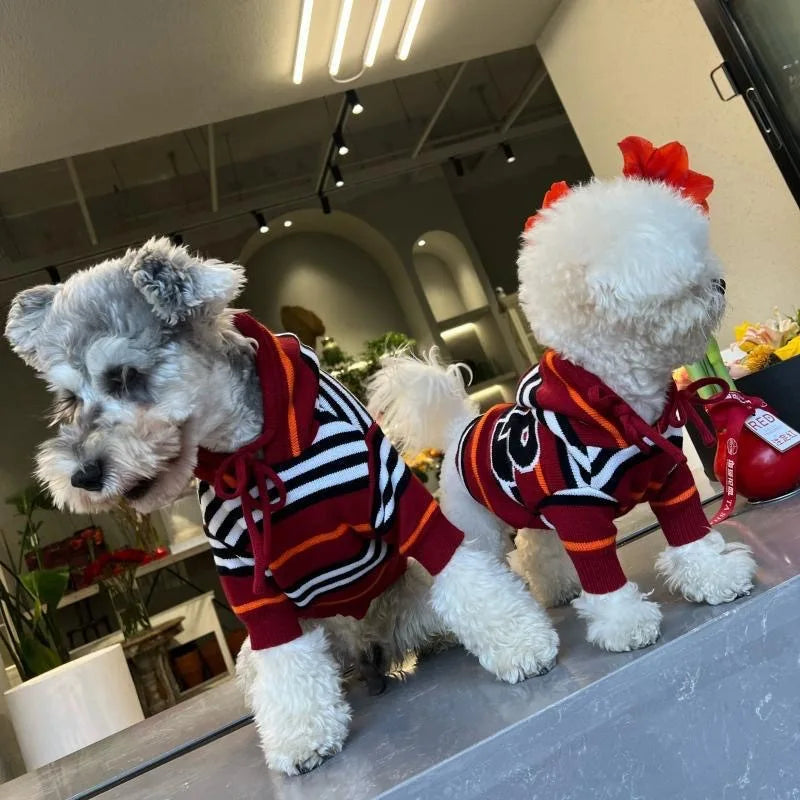 Striped Showlu Fashion dog sweater made of 100% cotton, warm pet pullover perfect for small dogs, featuring a cozy, stylish design.