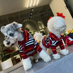 Two dogs wearing matching red, black, and white striped hooded sweaters.