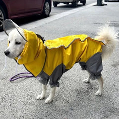 A white dog wears a yellow and grey waterproof raincoat with a clear hood visor.