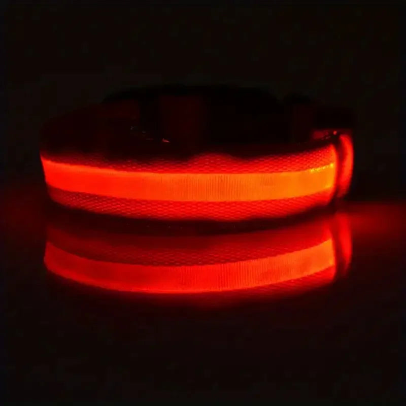 LED glow dog collar and safety night leash by Showlu Smart General, featuring illuminated collar and durable leash for nighttime visibility.