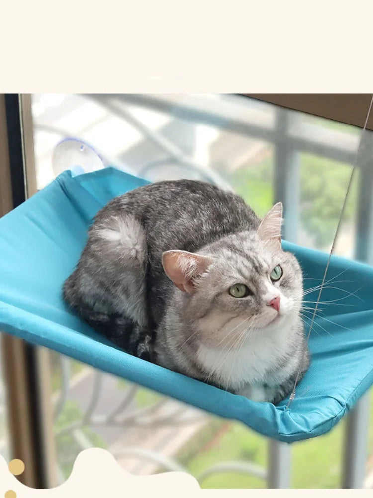 Showlu Smart General cat window hammock hanging securely, providing a cozy perch for cats to relax and enjoy the view.