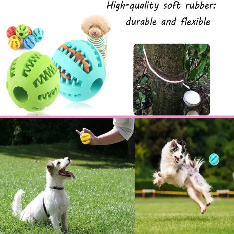 Showlu Smart General interactive rubber dog chew ball with treat dispensing, perfect for puppy training and teeth cleaning.