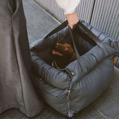 A person carries a dark gray, padded pet carrier containing a small brown dog.