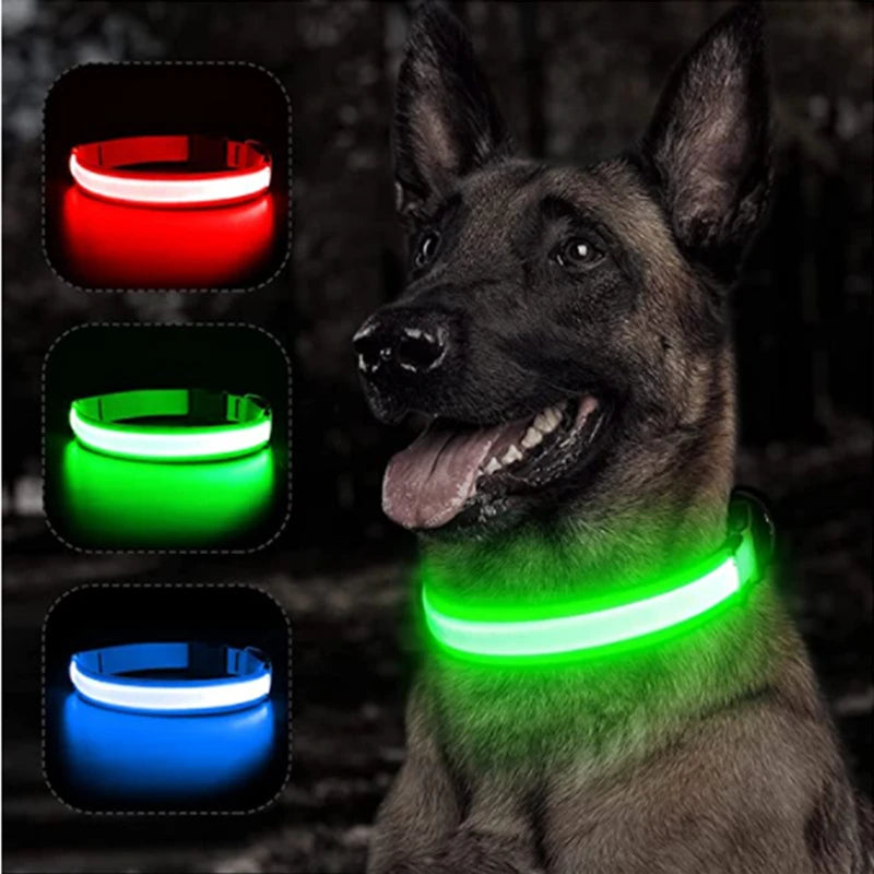 Adjustable nylon glowing dog collar with USB rechargeable LED light, designed for visibility and safety during nighttime walks.