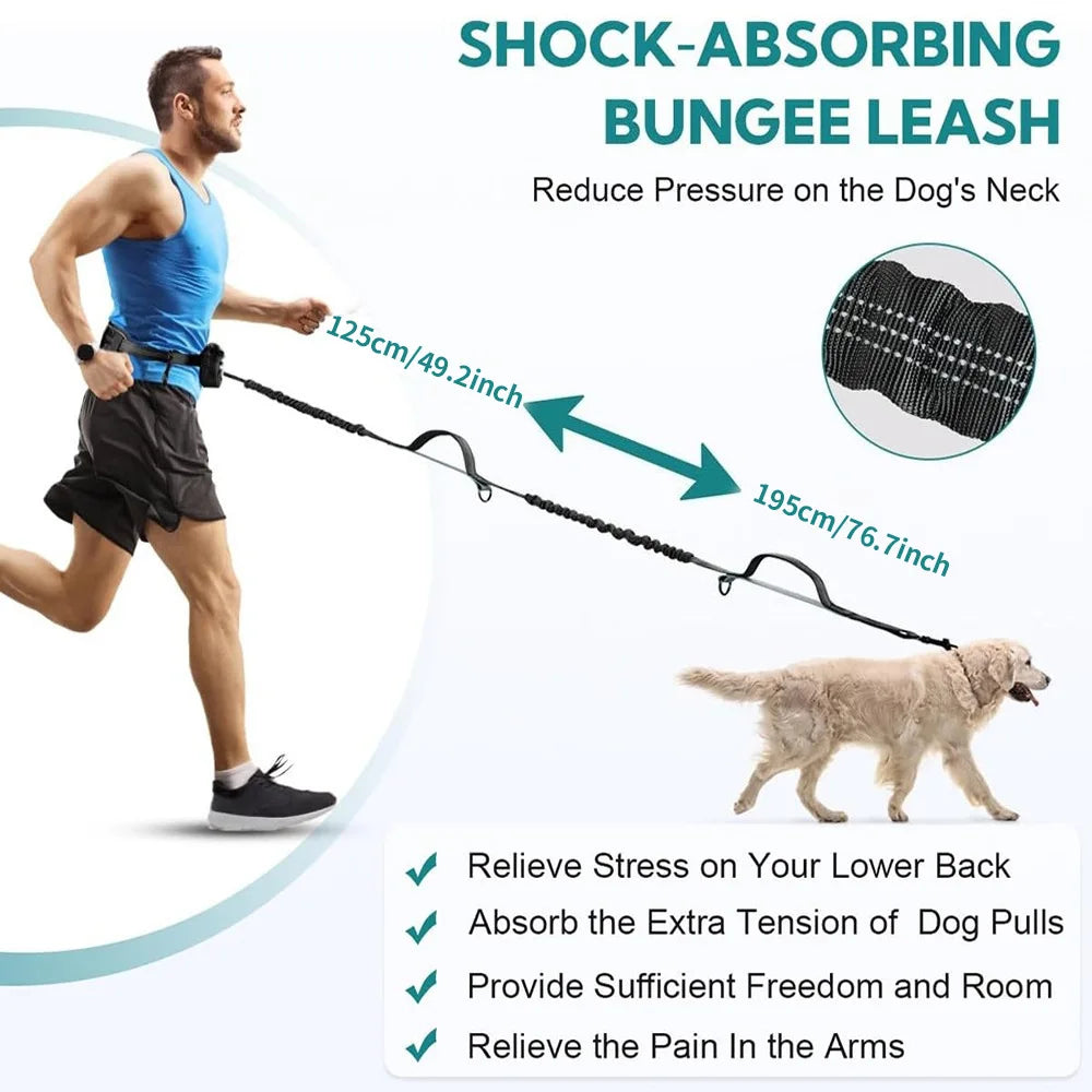 DCLOUD hands-free dual dog leash with pouch for medium and large dogs, shown in black with adjustable straps and built-in storage.