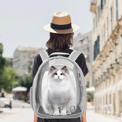 A person wears a grey transparent pet backpack containing a fluffy white cat on a city street.