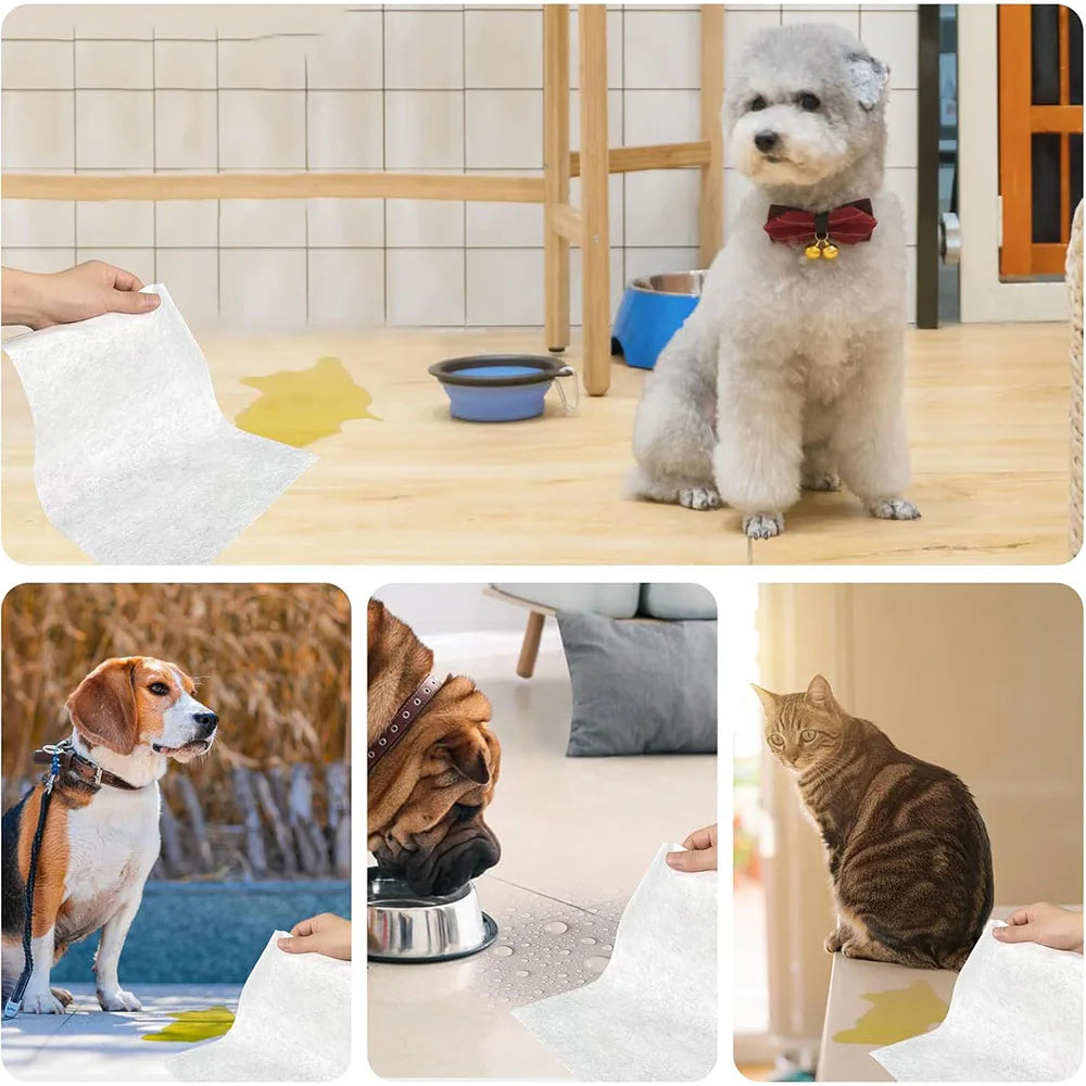 Set of 100 pet urine absorbent paper pads for dogs, quick-drying, and highly absorbent, ideal for pet diapers and potty training.