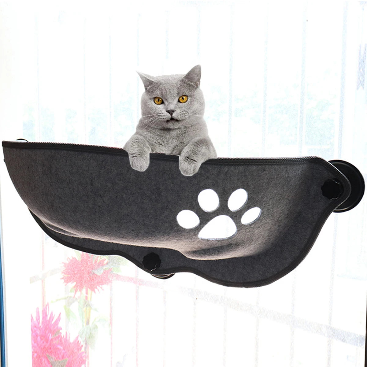 Shuangmao Cat Window Hammock in coral fleece, cozy pet bed lounger for cats up to 20kg, shown attached to a window.