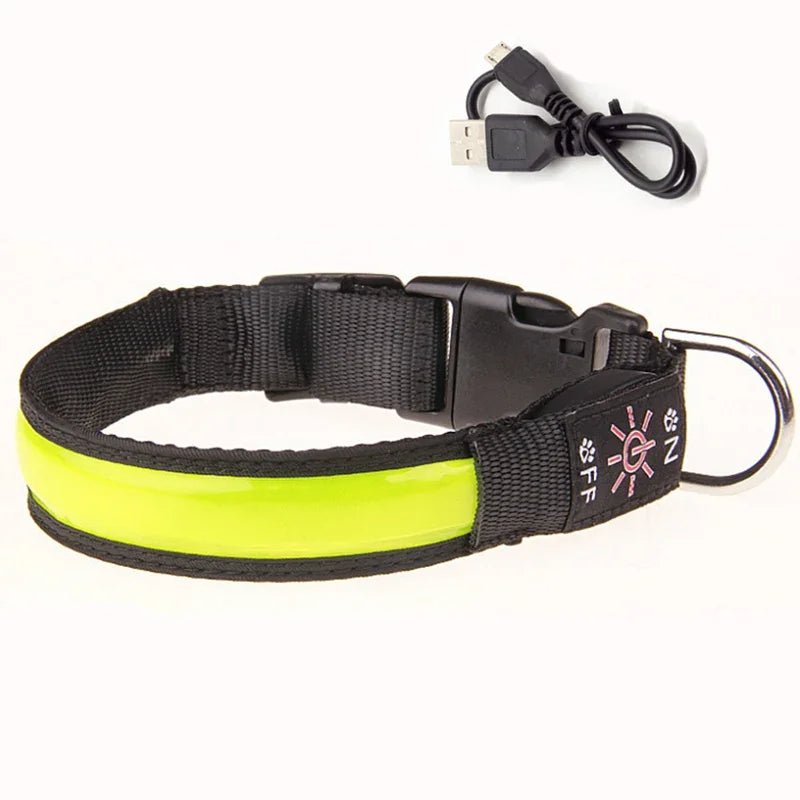LED luminous dog collar by Showlu Smart General with USB rechargeable safety night visibility and adjustable strap.