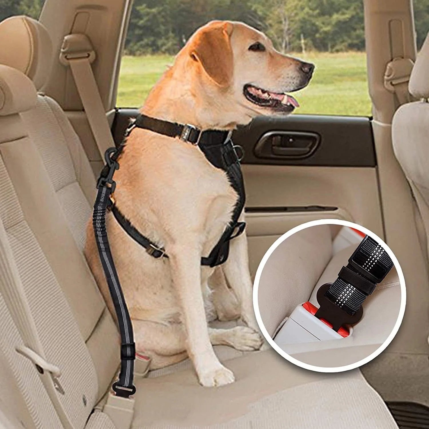 Showlu Smart General pet car seatbelt harness attached to a dog, ensuring safety during car travel.