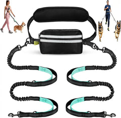 A hands-free dual dog leash with a waist pouch and two bungee leashes for walking two dogs.